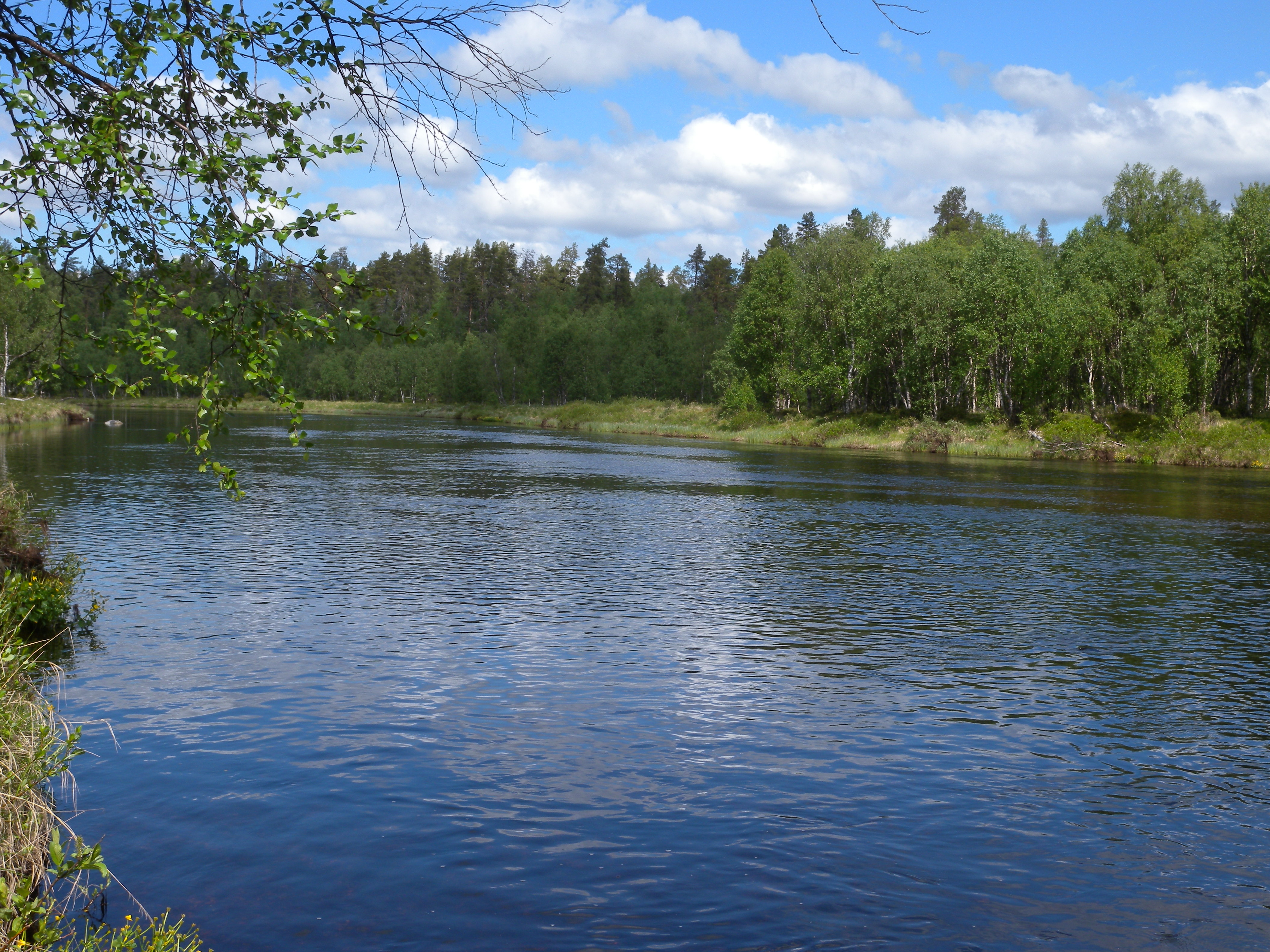 Nuorttijoki on komea, erämainen joki. Siihen ei tehdä istutuksia. Kuva: Hannu Kostilainen.